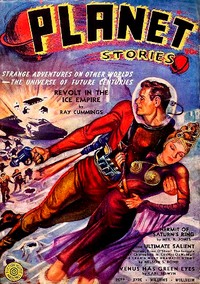 Cover of The Ultimate Salient — Story, Se...
